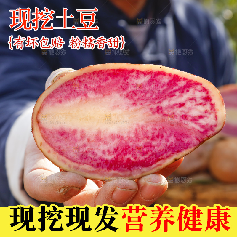 手里拿着彩色土豆