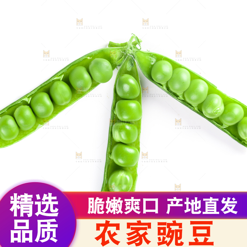 白底上放着新鲜豌豆粒