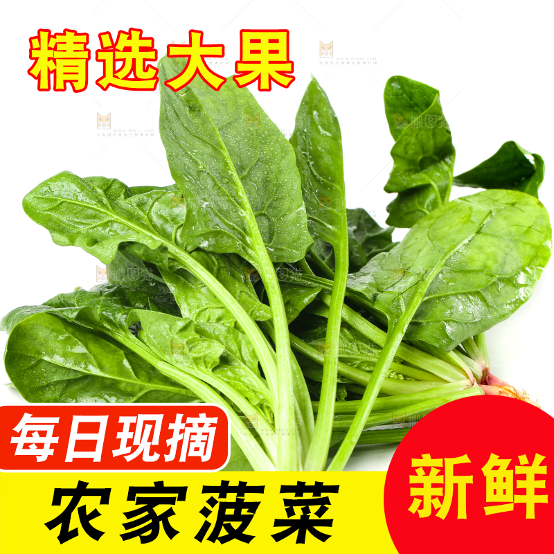白底上放着菠菜