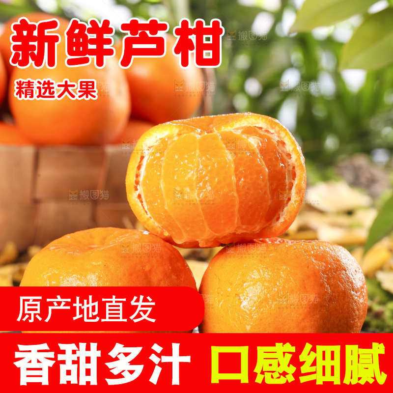 黑石板上的云南椪柑