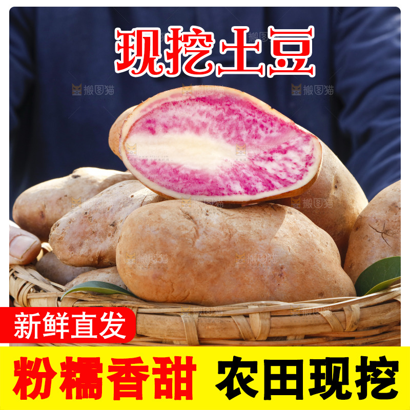 篮子里装着云南红心土豆