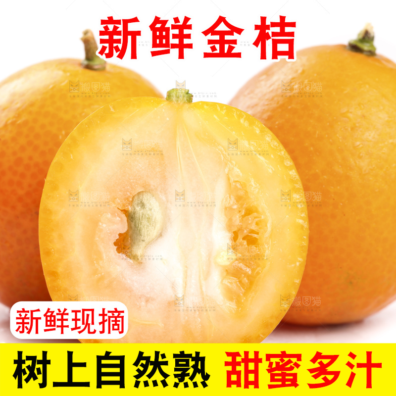 白底上的阳朔脆皮金桔
