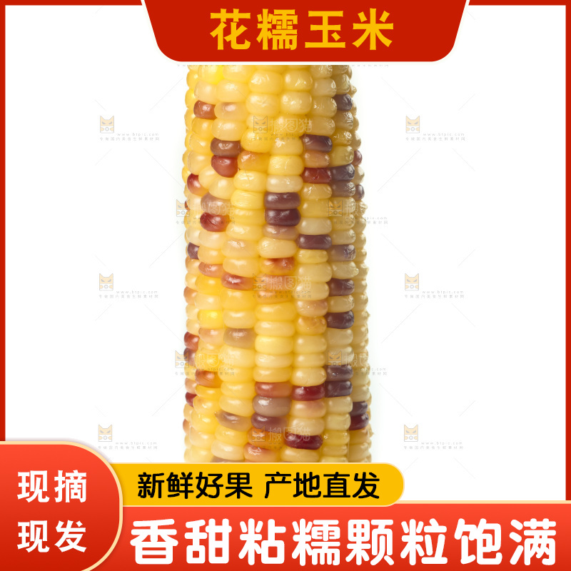 蒸熟的花糯玉米放在白底上