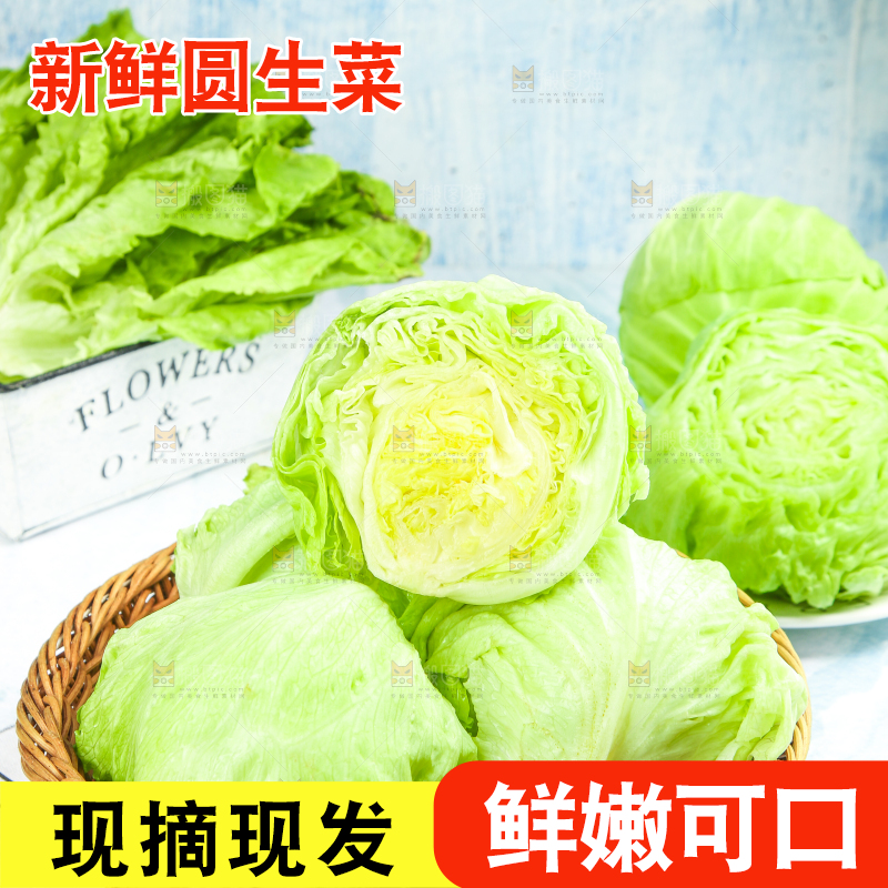 篮子里放着圆生菜
