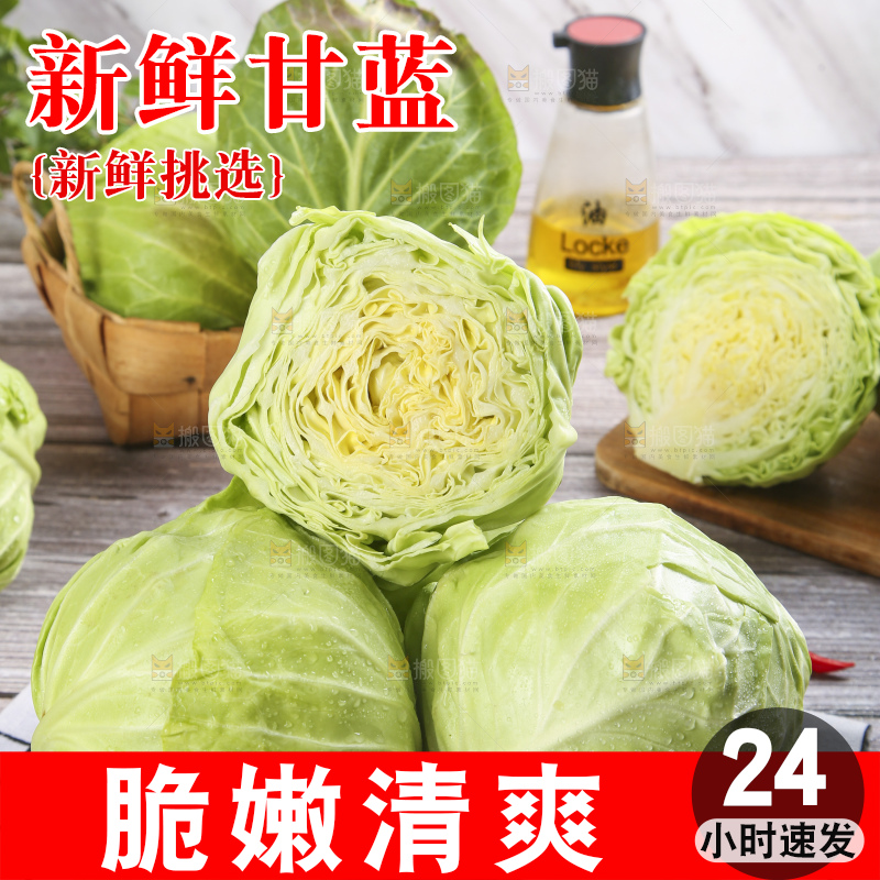 盘子里装着包心菜
