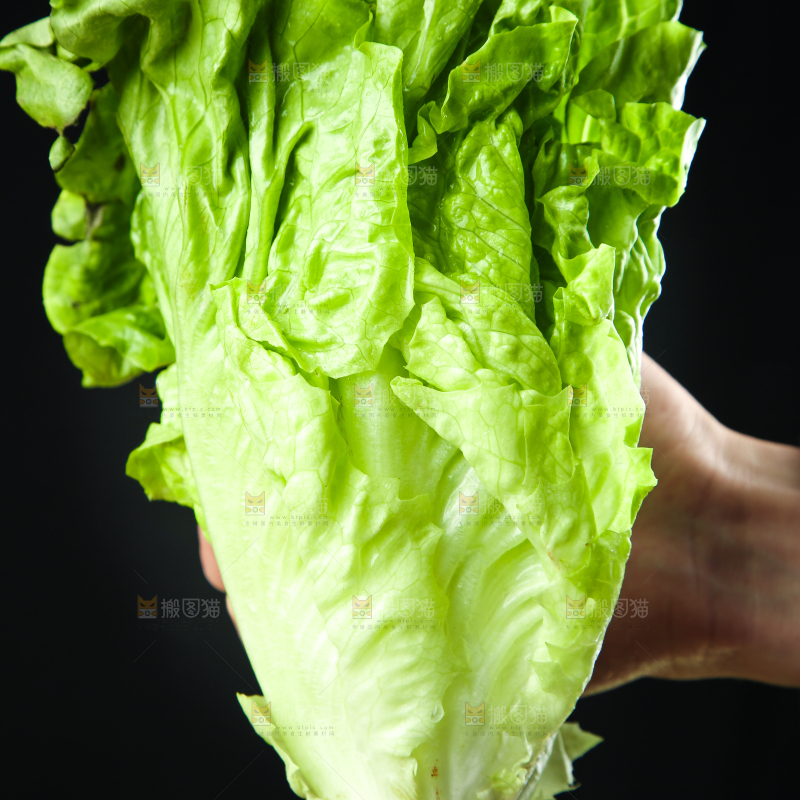 手里拿着生菜