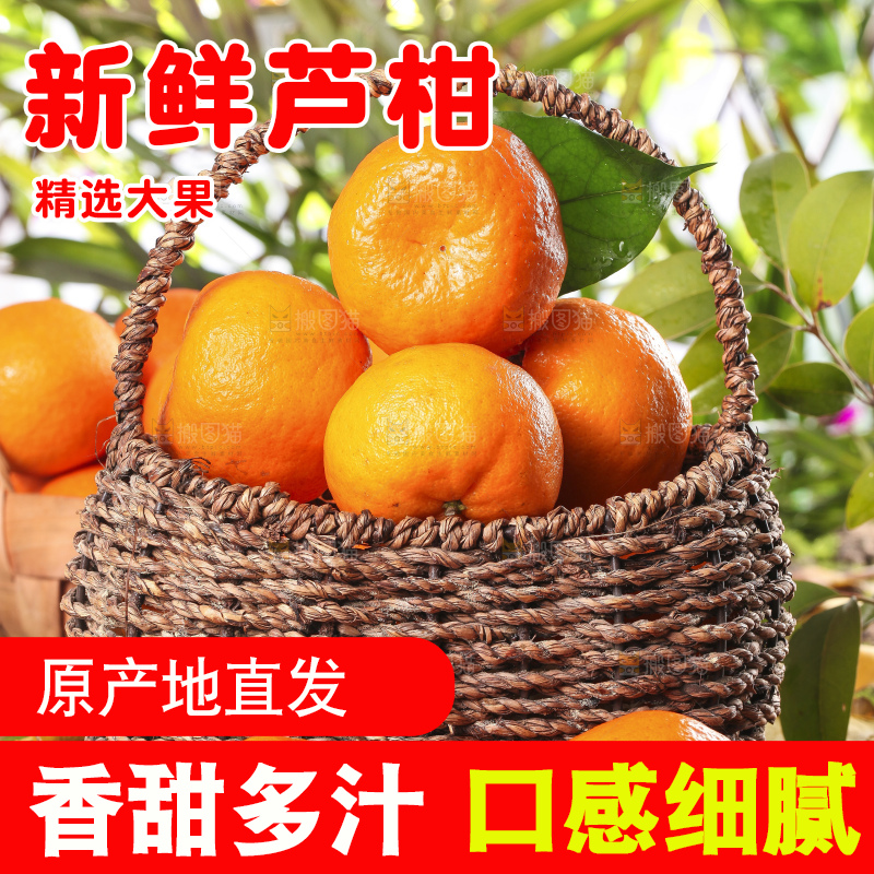 篮子里装着新鲜芦柑