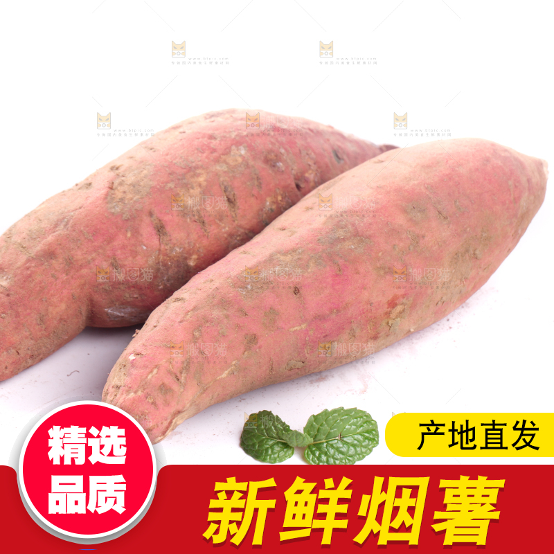 白底上蜜署