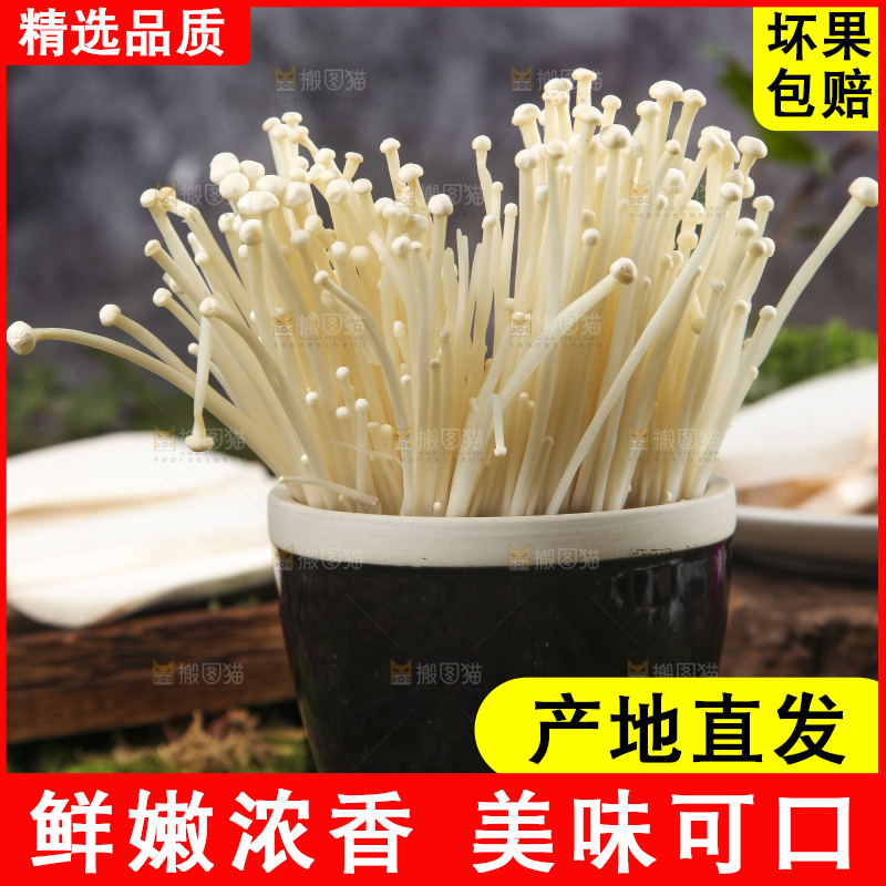 杯子里装着新鲜金针菇