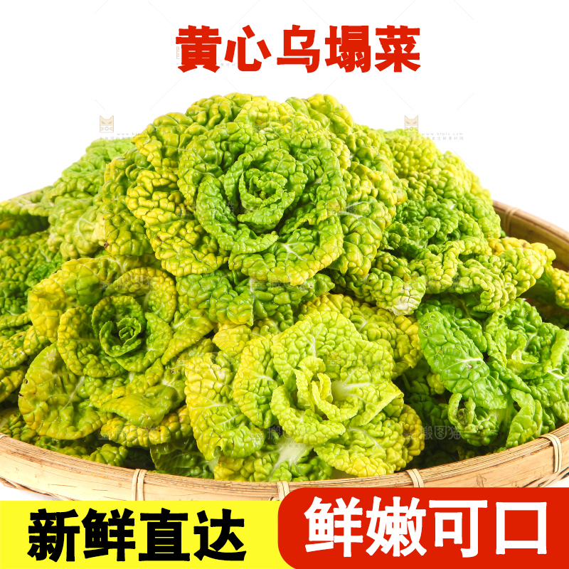 篮子里装着乌塌菜