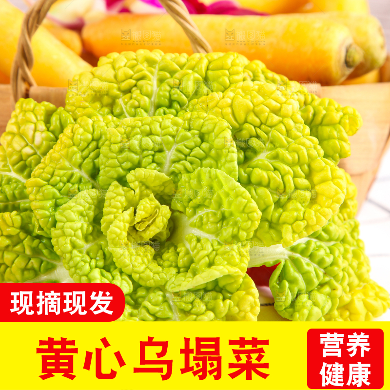 篮子里装着乌塌菜