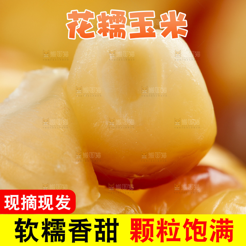浅底上剥皮的熟花糯玉米