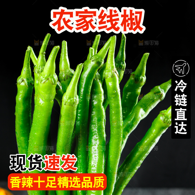 黑底上的新鲜青线椒