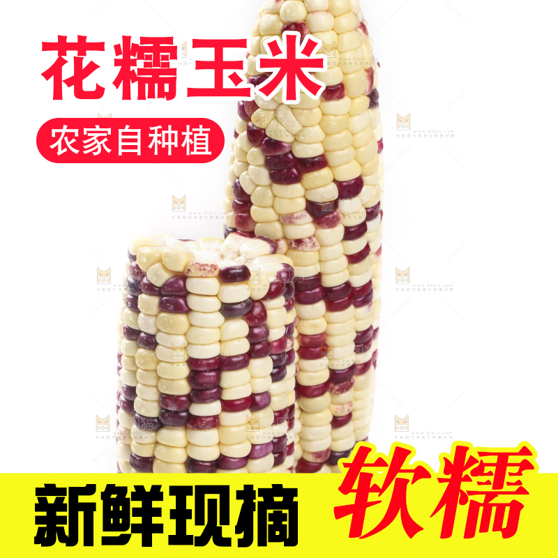 剥皮的花糯玉米放在白底上