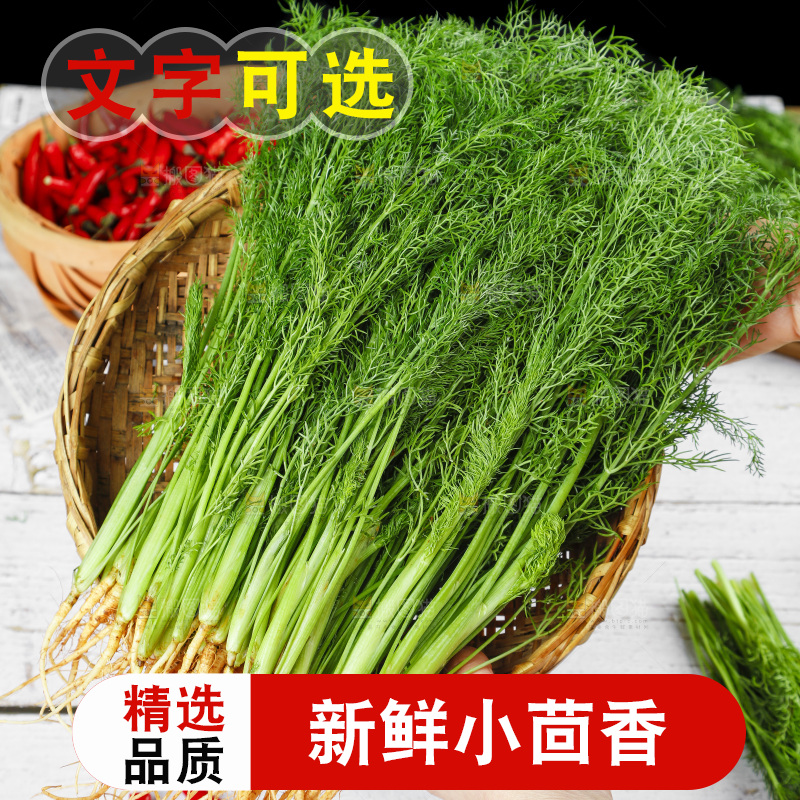 篮子里装着新鲜茴香菜