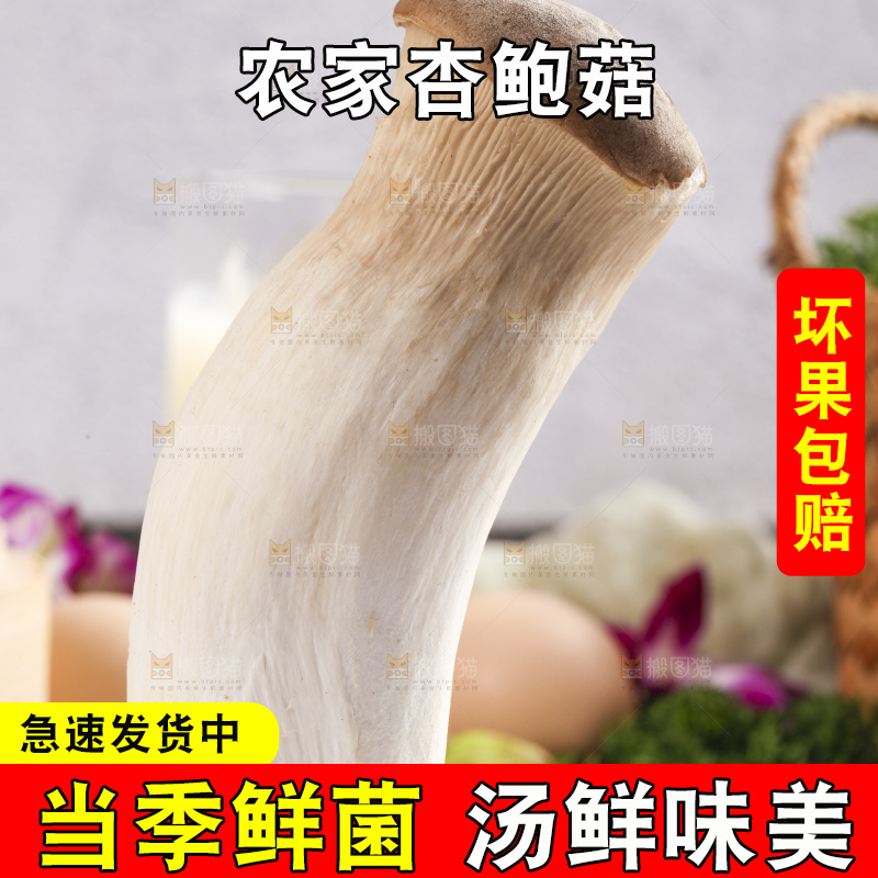 石板上摆放着鸡腿菇