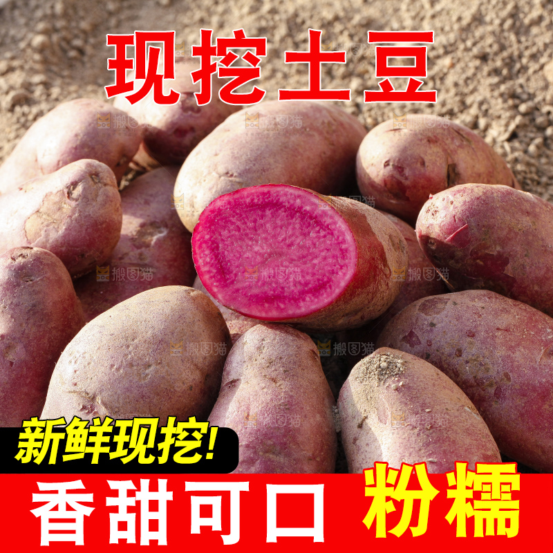 土地上放着红心土豆