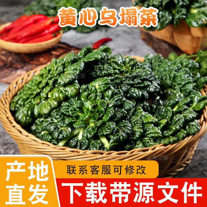 篮子里装着乌塌菜