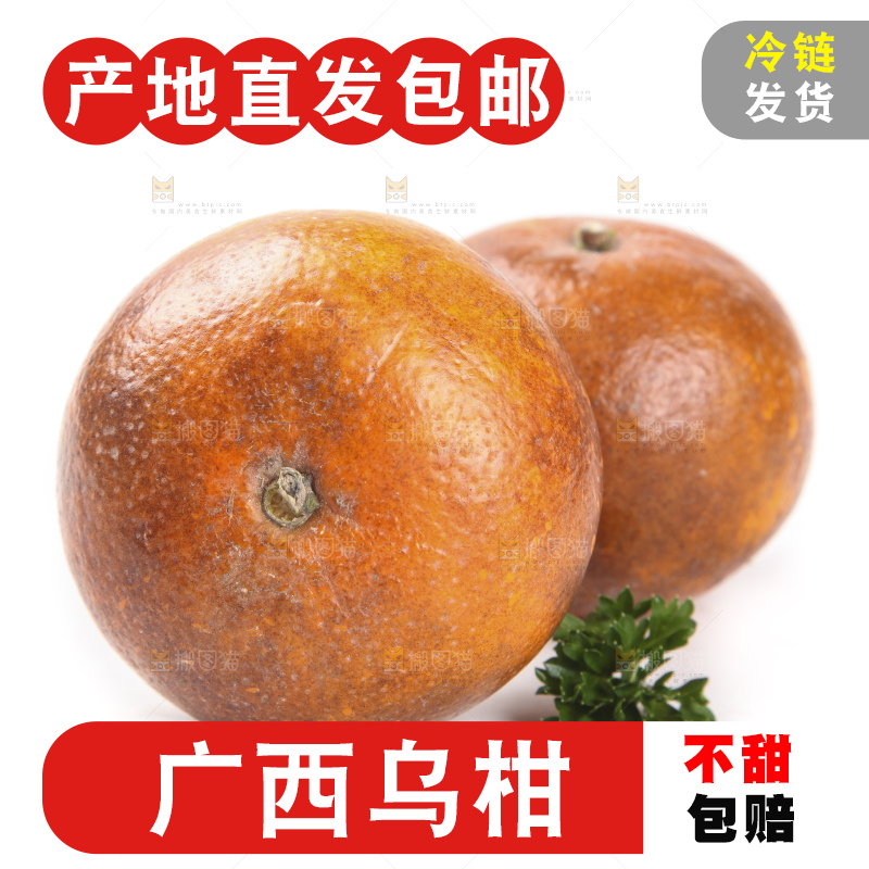 白底上放着新鲜乌柑
