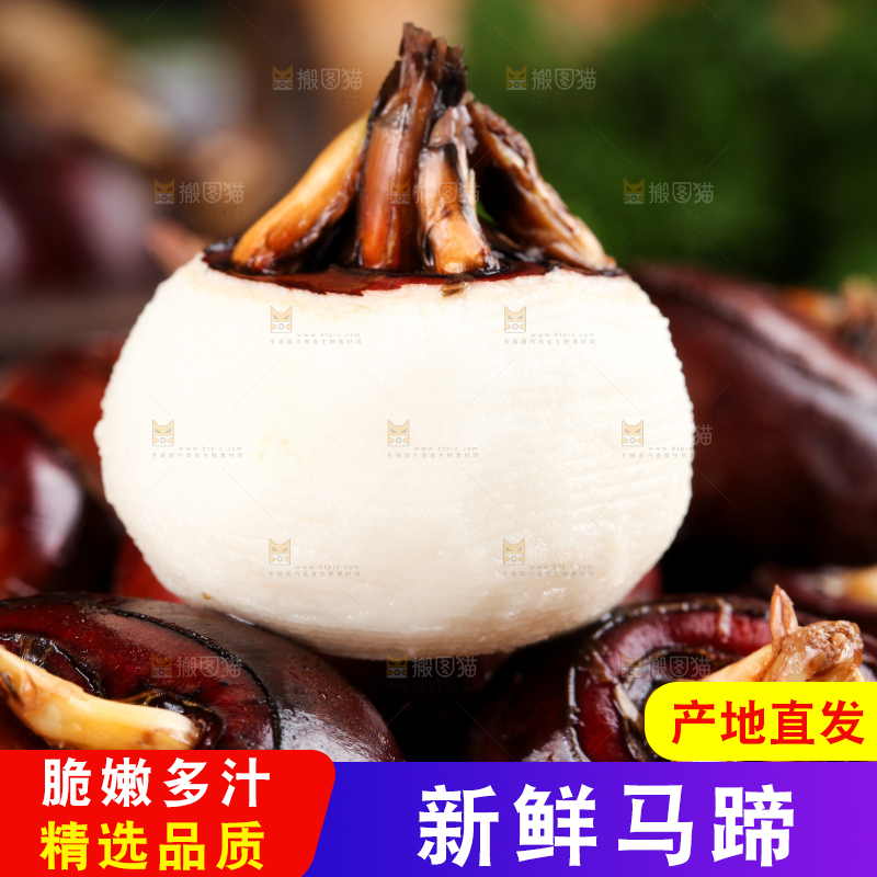 篮子里的红马蹄