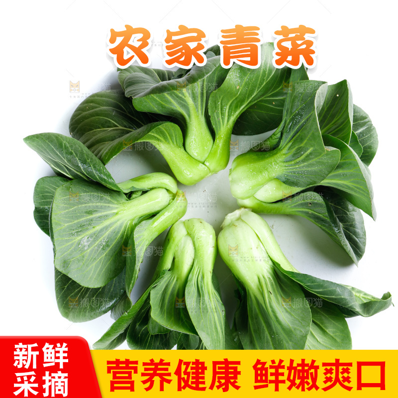 白底上放着青菜