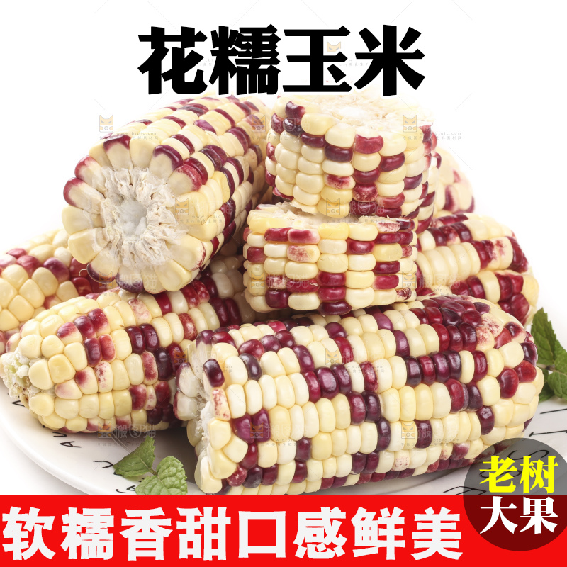白底上放着一盘糯玉米