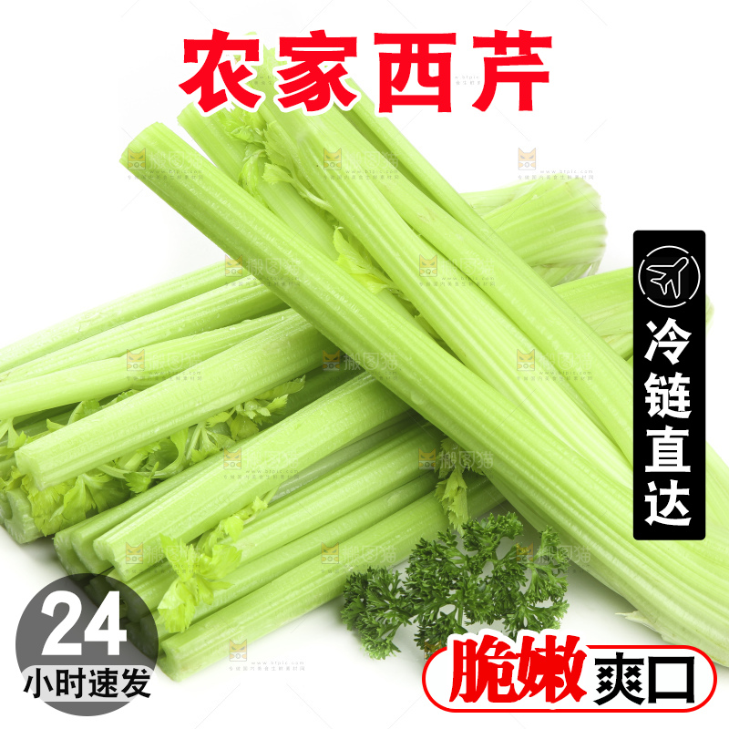 白底上的山东西芹