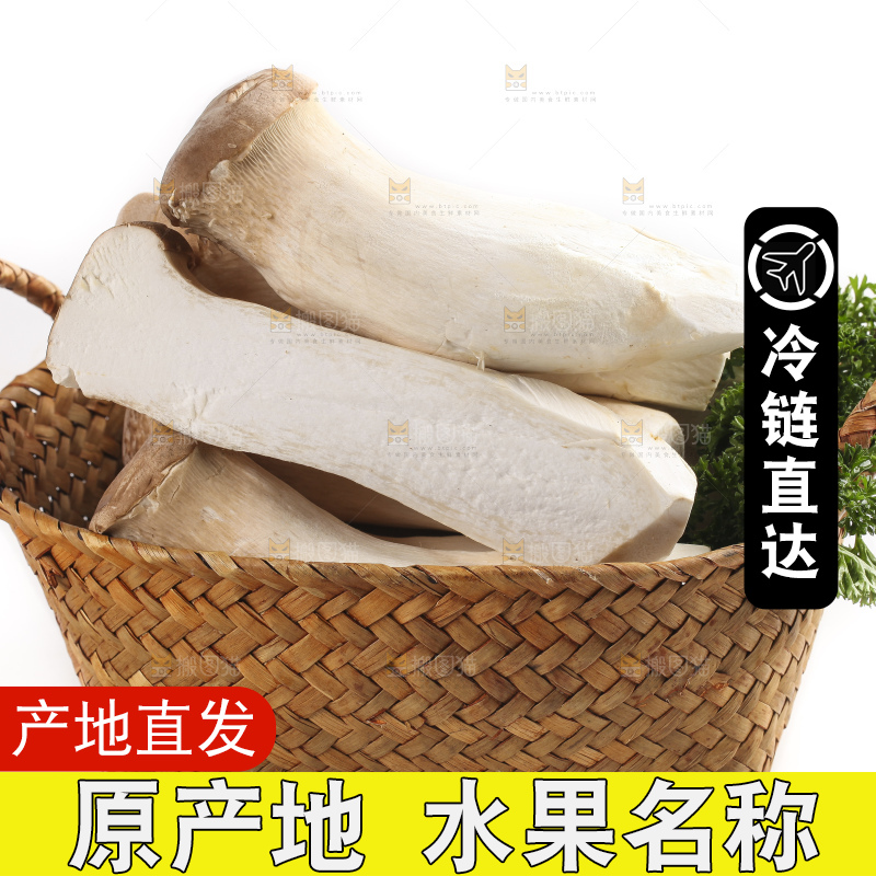 篮子里的菌菇