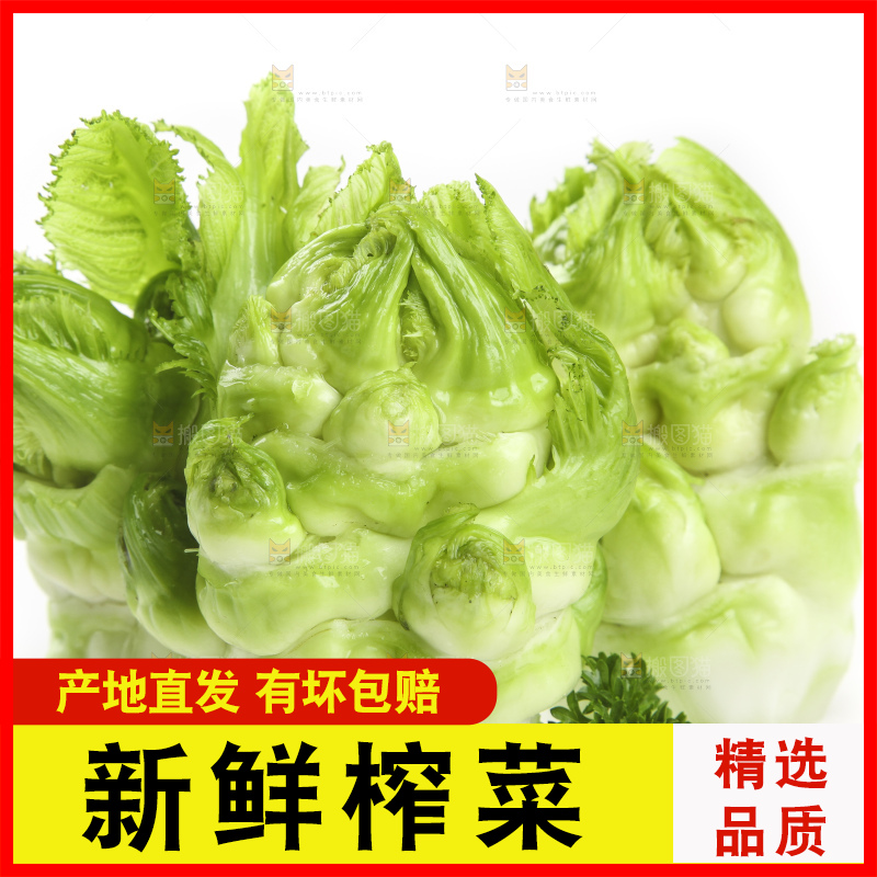 白底上的大头菜疙瘩