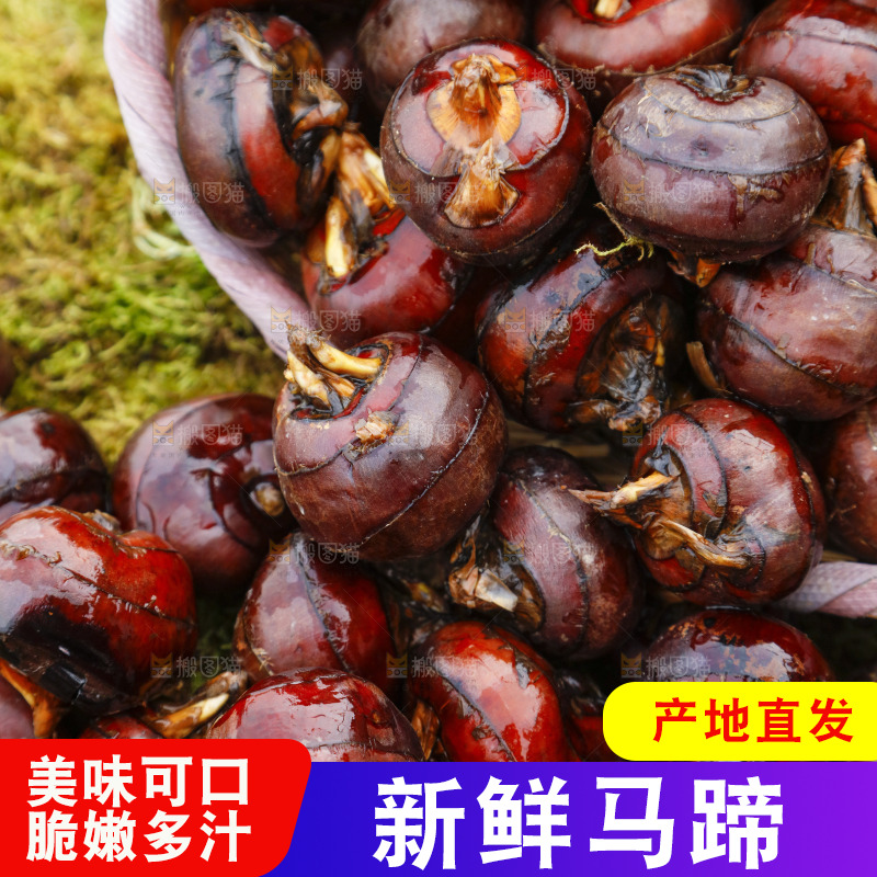 篮子里装着广西马蹄