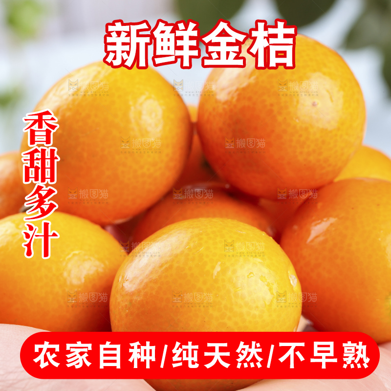 手里拿着脆皮金桔