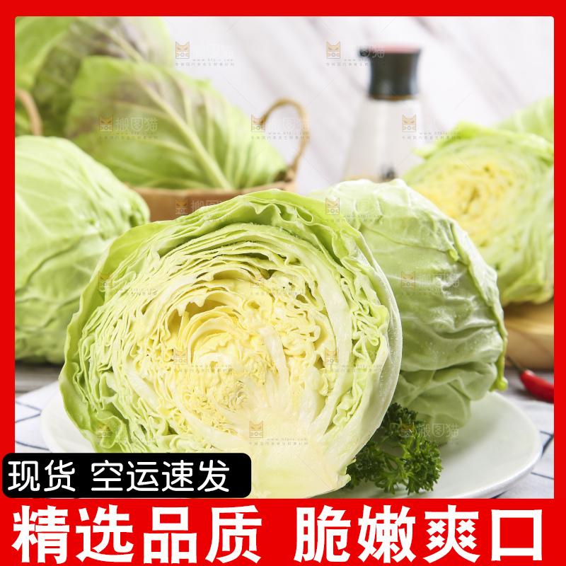 白格子底上的甘蓝包菜
