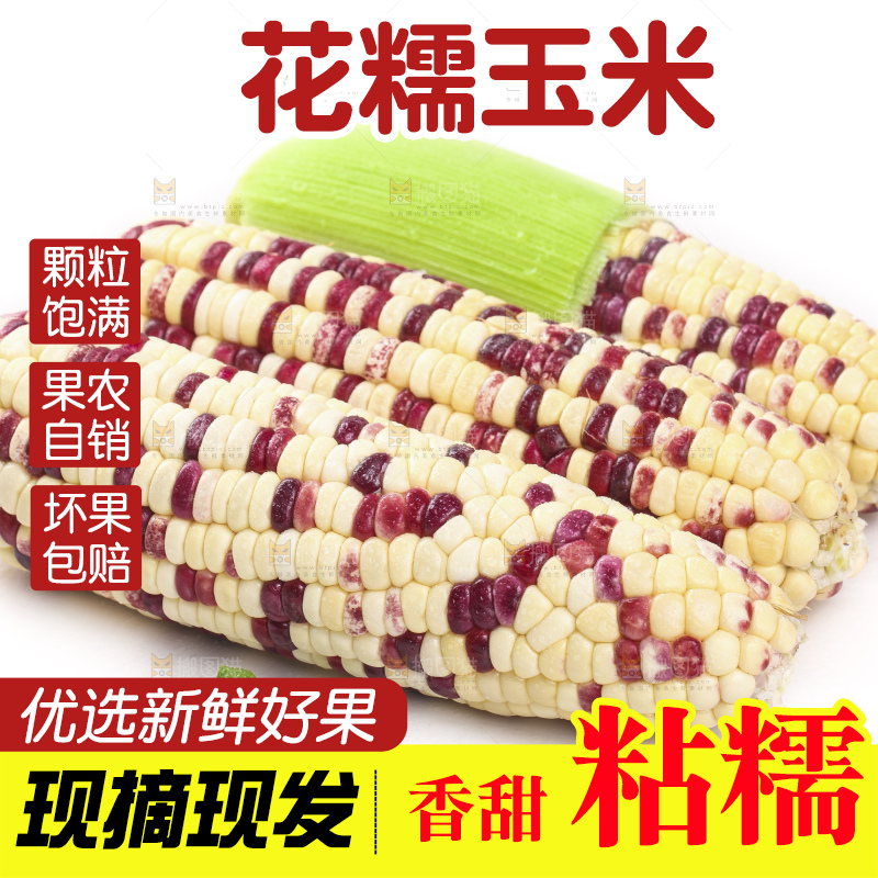 剥皮的花糯玉米放在白底上