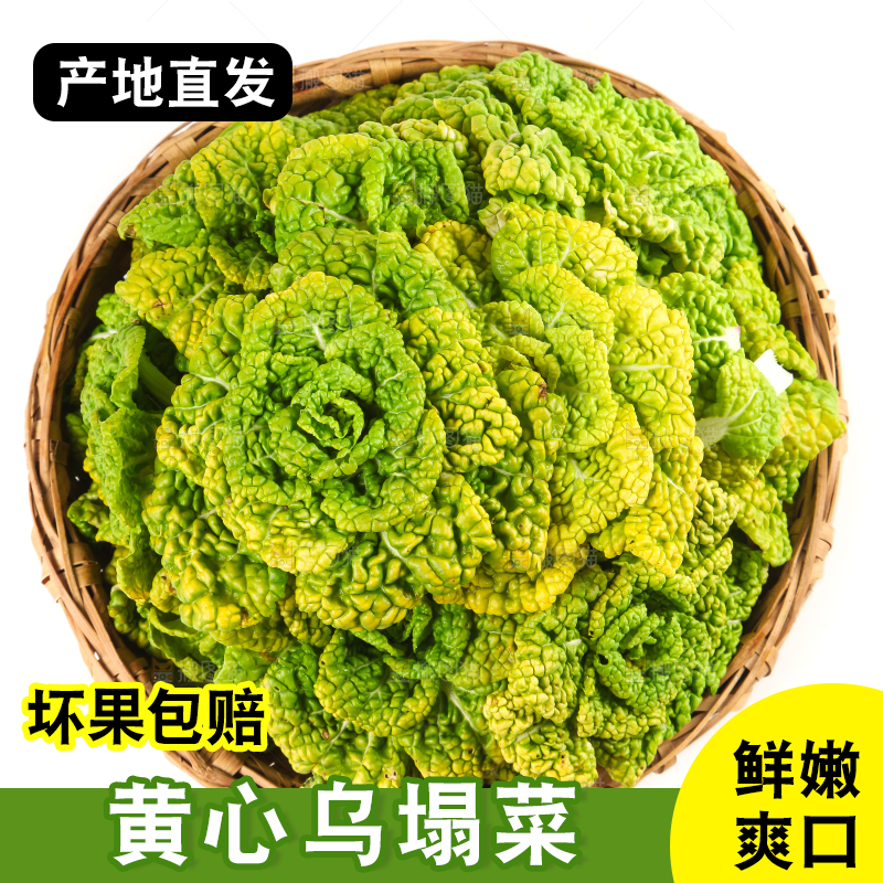 篮子里装着乌塌菜