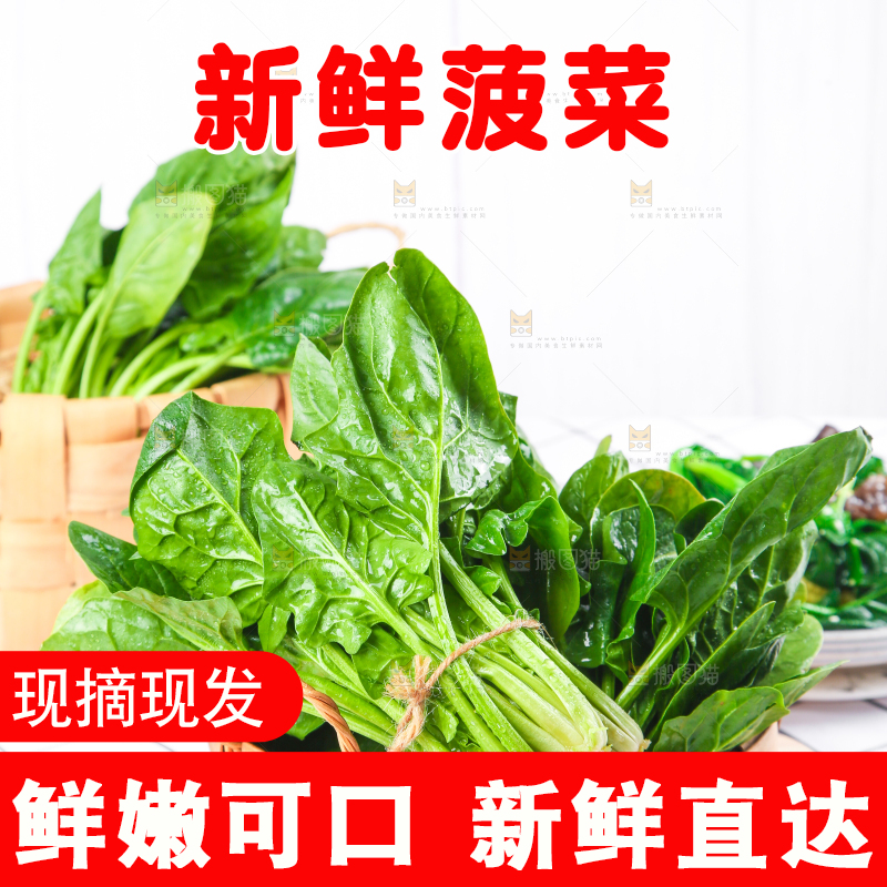 白格子底上的嫩菠菜