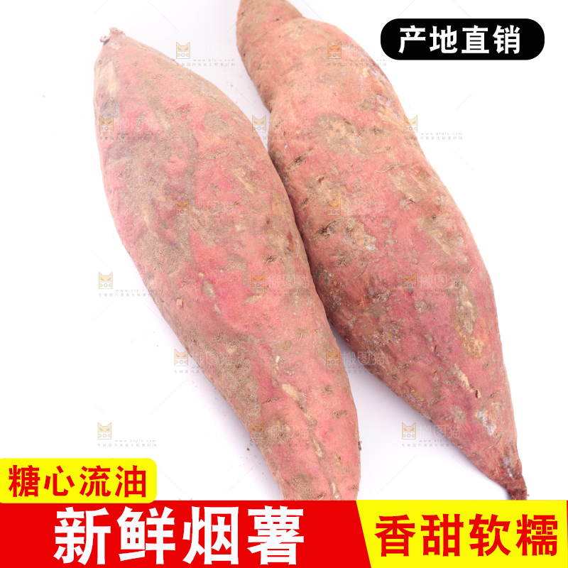 白底上蜜署