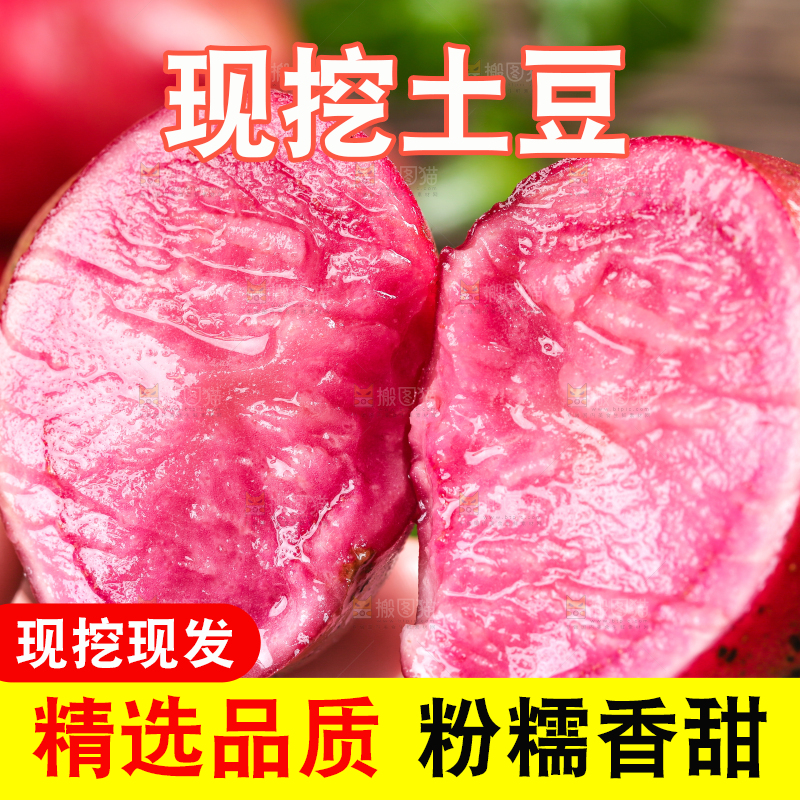 手里拿着云南红土豆