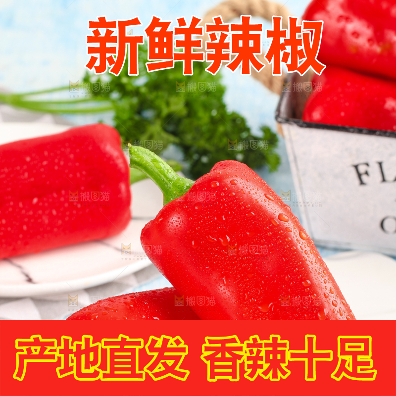 石板上的山东红辣椒