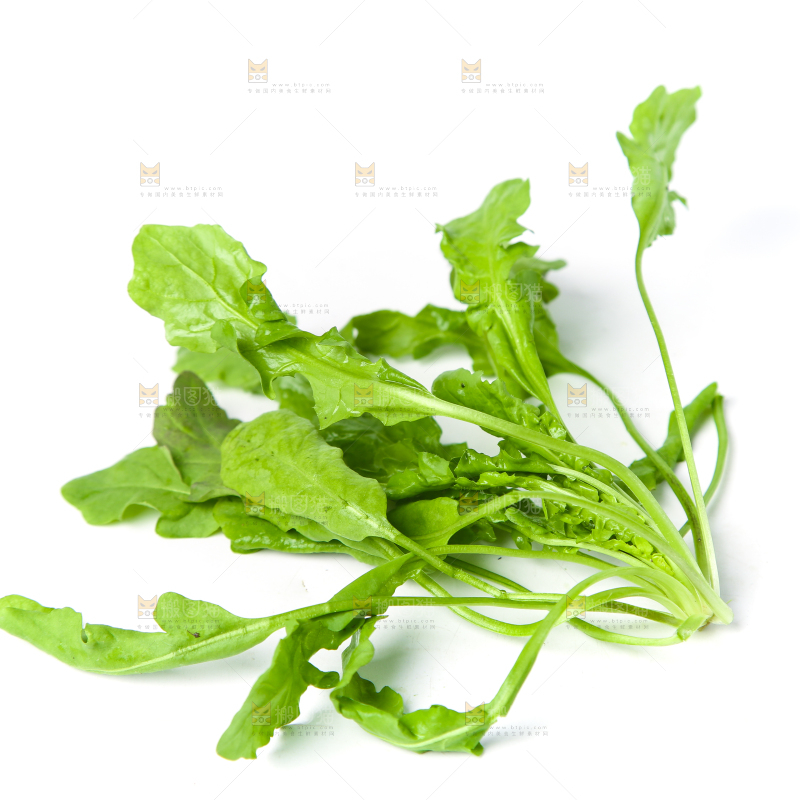 白底上的地菜