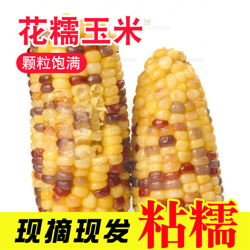 白底上放着切开的熟香糯玉米