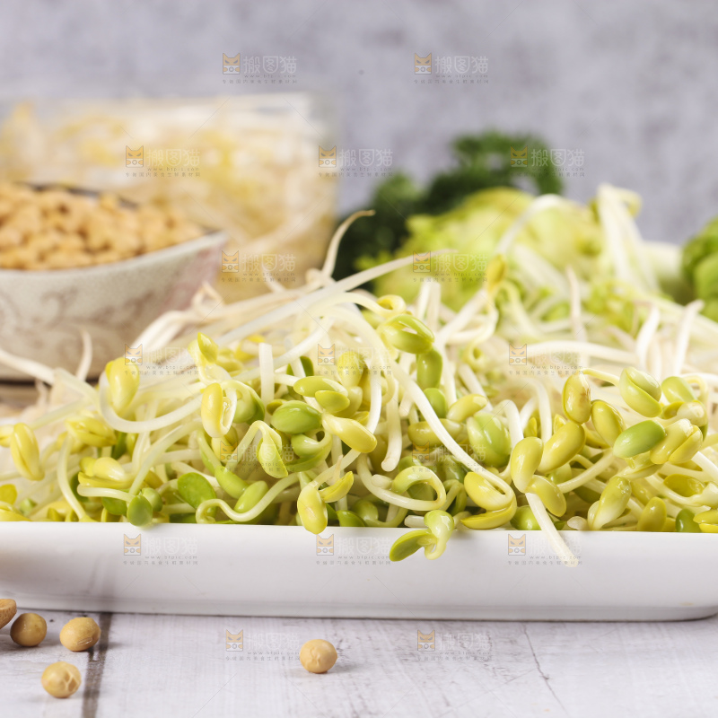 盘子里的豆芽