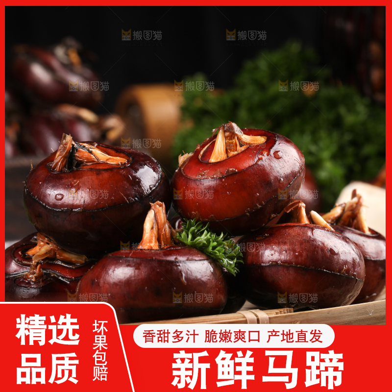篮子里的红马蹄