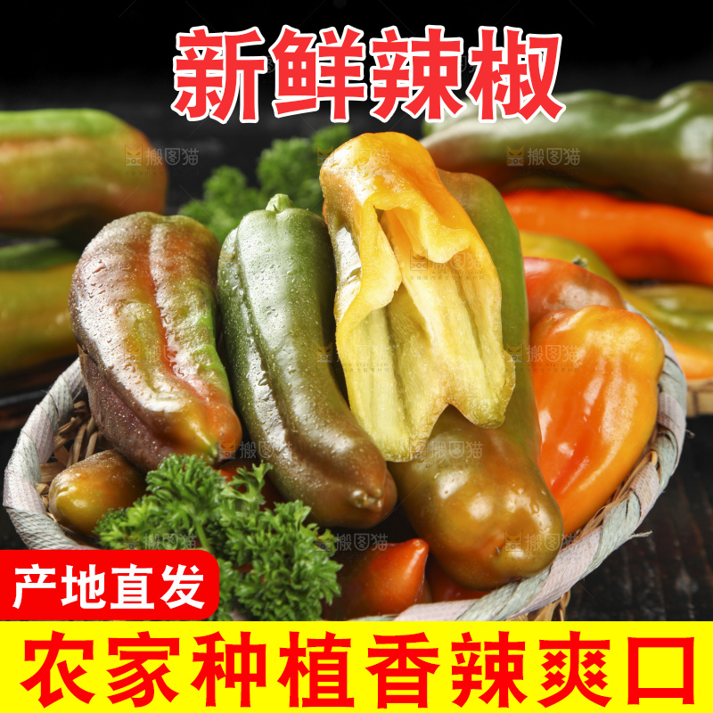 盘子里的彩色大辣椒