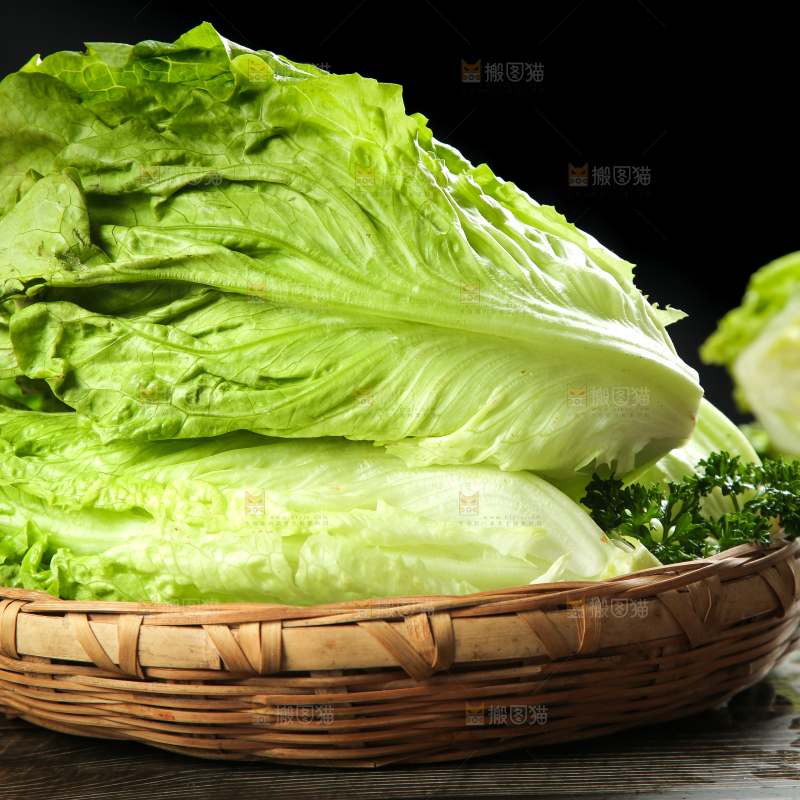 篮子里装着四季玻璃生菜