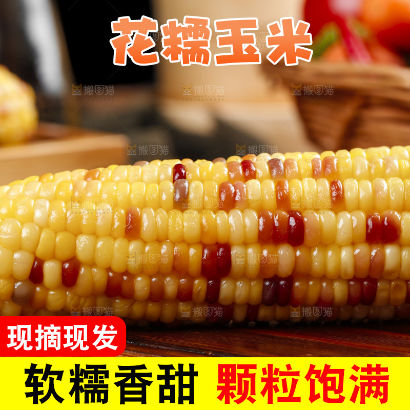 木底上的湖北花糯玉米