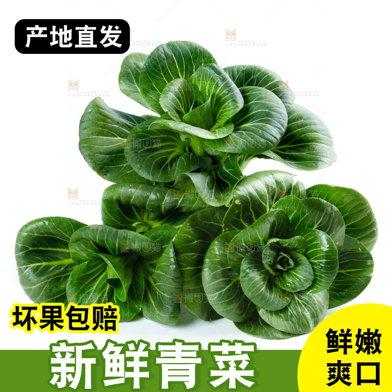 白底上放着上海青