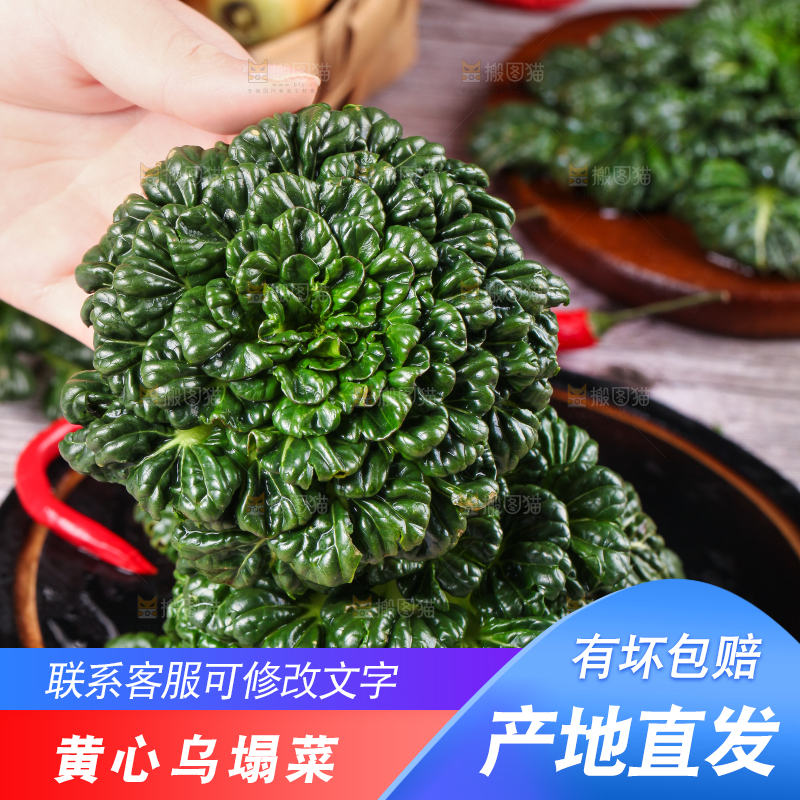 盘子里装着农家乌塌菜