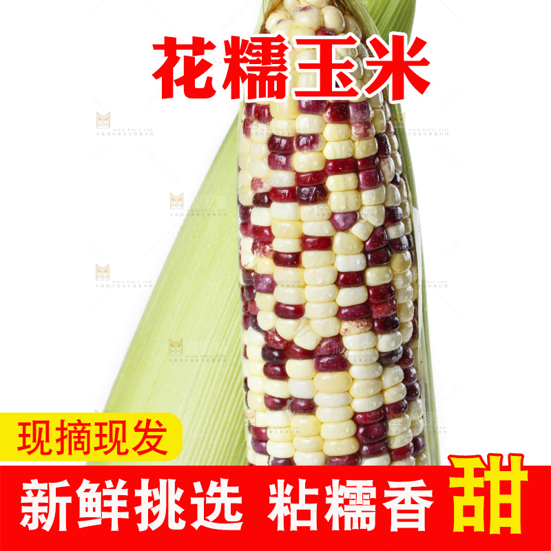 白底上放着剥皮的花糯玉米