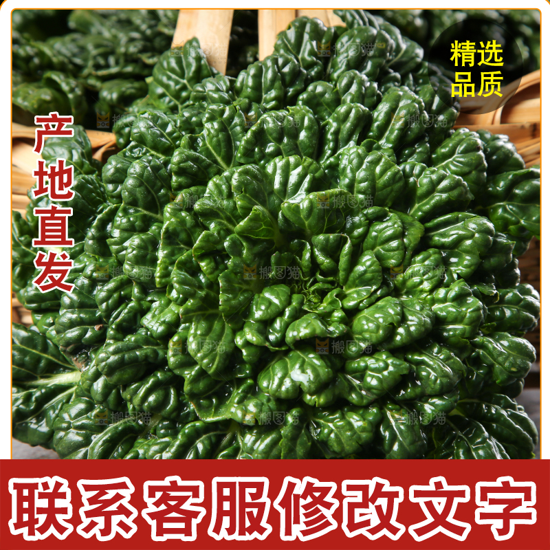 篮子里装着乌塌菜