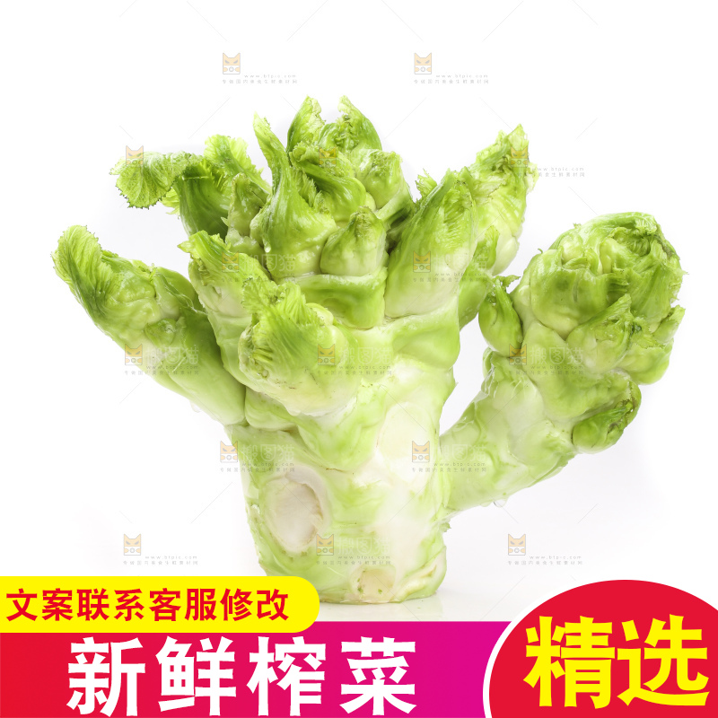 白底上的大头菜疙瘩